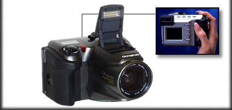 d600l.jpg (29880 bytes)